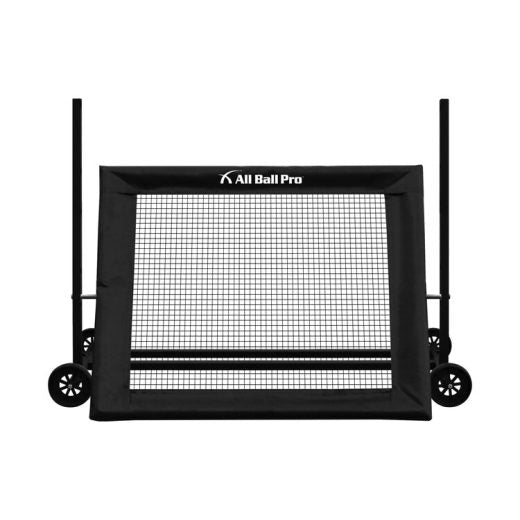 Rebounder trainer adjustable screen positions